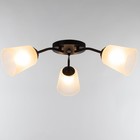 Люстра "Онлайн" (цилиндр) 3х15Вт Е27 МОДЕЛЬ: BR 00231 черный/прозрачный - фото 3498615