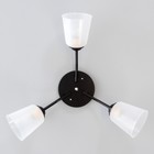 Люстра "Онлайн" (цилиндр) 3х15Вт Е27 МОДЕЛЬ: BR 00231 черный/прозрачный - фото 3498617