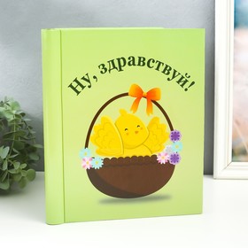 Фотоальбом магнитный 20 листов ′Цыплёнок в корзинке′ 29х24х2 см в Донецке