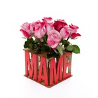 Сборная ваза для цветов с колбами «Подарок маме» - фото 7025900