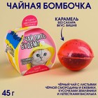 Чайная бомбочка в коробке «Чай пить будем?», БЕЗ САХАРА, 45 г. 9278620 - фото 6157195