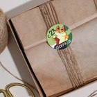 Наклейки на подарки «23 февраля», кот,  9 × 16 см (5 шт) - фото 802883939