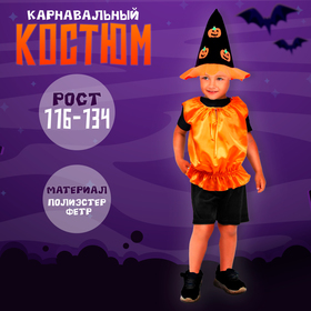 {{productViewItem.photos[photoViewList.activeNavIndex].Alt || productViewItem.photos[photoViewList.activeNavIndex].Description || 'Карнавальный костюм Тыква,жилет,шляпа черно-оранжевая,рост 116-134'}}