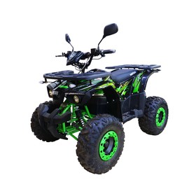 Квадроцикл MOTAX ATV Grizlik E1500, OFF-ROAD, черно-зеленый