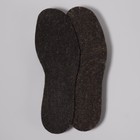 Стельки для обуви, универсальные, грубошерстный войлок, толщина 3 мм, 44-50 р-р, пара, цвет чёрный - фото 6243977