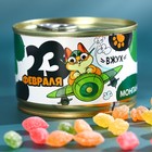 Монпансье «23 февраля» в банке, вкус: смородина, малина, абрикос, лимон, яблоко, 140 г. 9369106 - фото 7657641