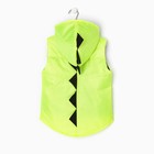 Жилетка с капюшоном детская, цвет салатовый, рост 116-122 см - фото 803098152