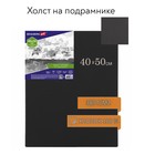 Холст на подрамнике черный BRAUBERG ART CLASSIC, 40 х 50 см, 380 г/м2, хлопок, мелкое зерно (191651) 9513834 - фото 7506739