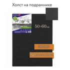 Холст на подрамнике черный BRAUBERG ART CLASSIC, 50 х 60 см, 380 г/м2, хлопок, мелкое зерно (191652) 9513835 - фото 7253039