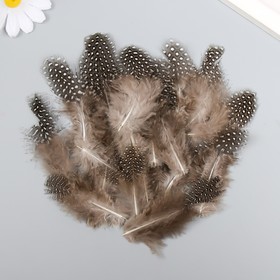 Набор перьев для творчества 20 шт (6-8 см), серый