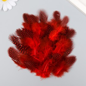 Набор перьев для творчества 20 шт (6-8 см), красный