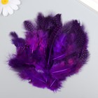 Набор перьев для творчества 20 шт (6-8 см), фиолетовый - фото 6477343