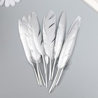 Набор перьев для творчества 10 шт (13-15 см), серебро - фото 6477346