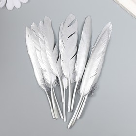 Набор перьев для творчества 10 шт (13-15 см), серебро