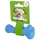 Игрушка "Кость литая" малая Зооник, 11 см, пластикат, синяя 9540697 - фото 8088132