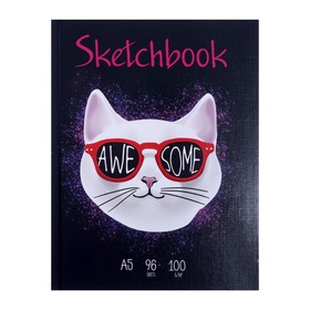 Скетчбук А5, 96 листов Cool Cat, твёрдая обложка, глянцевая ламинация, лён, тонированный блок 100 г/м2