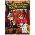 Бомбическая раскраска «Загадочный лес», 16 страниц 9519642 - фото 7232600