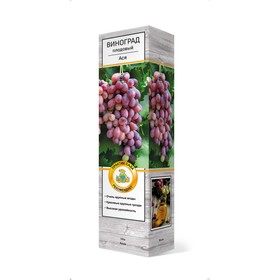 Виноград плодовый "Бананас", 1 шт, туба, Весна 2023