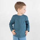 Лонгслив для мальчика Basic, рост 116 см, цвет синий - фото 8239438
