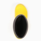 Сапоги мужские, цвет жёлтый размер 41/42 - фото 53173