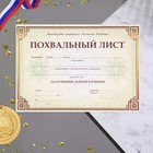 Похвальный лист "Министерство просвещения РФ" рамка, 21х29,7 см 9617601 - фото 7258086