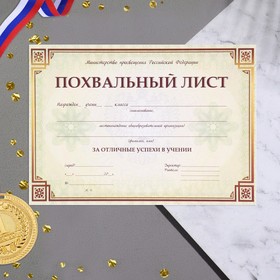 Похвальный лист "Министерство просвещения РФ" рамка, 21х29,7 см