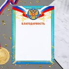 Благодарность "Символика РФ" голубая рамка, бумага, А4 - фото 7965620