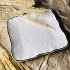 Блюдо квадратное Lenardi «Офелия», 24 см - фото 8225307