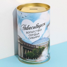 Копилка XXL «Новосибирск», 20 х 12,5 см в Донецке