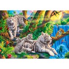 Холст с красками 40 × 50 см, по номерам «Семья бенгальских тигров» - фото 8139510