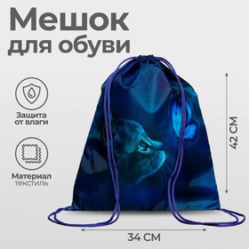 Мешок для обуви 420 х 340 мм, Calligrata (210D) "Котик" МСО-5С/Р22