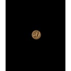 Монета в мешочке "Удачного года", 5 х 7 см - фото 8294815