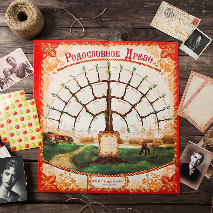 Родословная книга «Семейные традиции», 58 листов, 30 х 30 см - фото 797628858