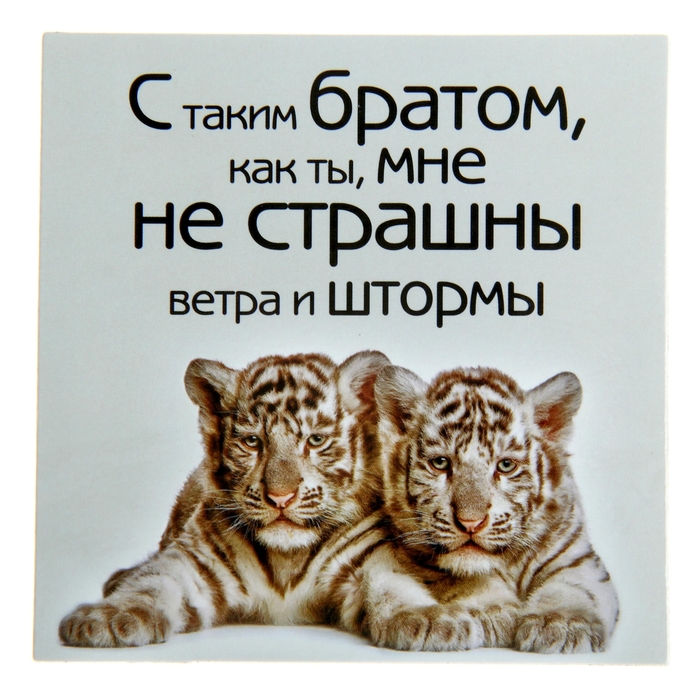 Открытка с благодарностью брату, поздравления картинками