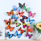 Magnet "multicolor Butterfly" MIX