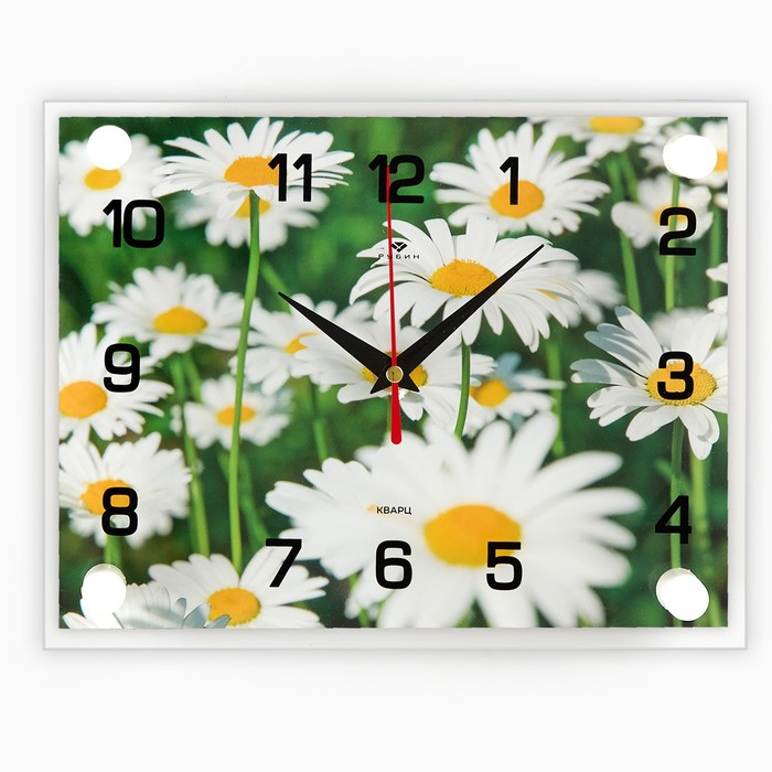 Часы настенные, серия: Цветы, "Ромашки", 20х26  см, микс - фото 83024