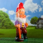 Садовая фигура "Гном с посохом" 13х17х50см МИКС Садовая фигура "Гном с посохом" 13х17х50см МИКС