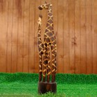 Souvenir "Two reticulated giraffe", 100 cm