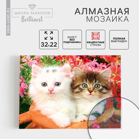 Алмазная мозаика с полным заполнением «Котята», 22х32 см