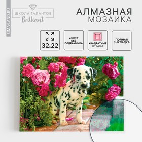 Алмазная мозаика с полным заполнением «Далматинец», 22 х 32 см. Набор для творчества