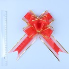 Бант-бабочка №7 "Золотая полоса", цвет красный 1020428