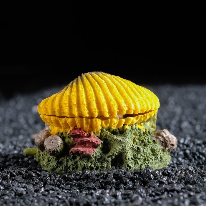 Распылитель "Раковина с жемчужинами", 10 х 9 х 7,5 см - фото 1400378