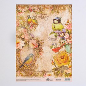 Декупажная карта «Птицы», 21 × 29,7 см