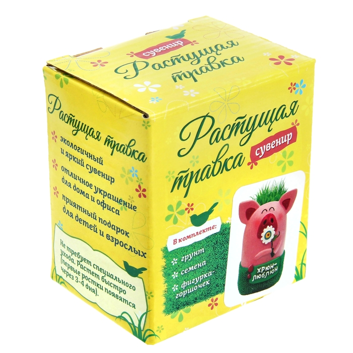 Растущий подарок, трава "Хрюн-люблюн"