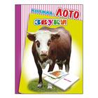 Книжка-лото "Звуки" Книжка-лото "Звуки"