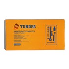 Набор инструментов в кейсе ТУНДРА, универсальный, 1/4" и 3/8", 20 предметов 881851 Набор инструментов в кейсе ТУНДРА, универсальный, 1/4" и 3/8", 20 предметов 881851