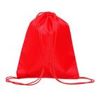 The bag for replaceable footwear universal 405 x 340 mm, red