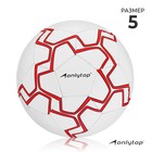 Мяч футбольный, размер 5, 32 панели, PVC, 2 подслоя, машинная сшивка, 260 г, МИКС - фото 1406039