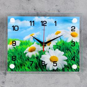 Часы настенные, серия: Цветы, "Ромашки", 20х26  см, без выбора вариантов товара