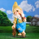 Садовая фигура "Гном с трубкой" 29х25х70 см МИКС Садовая фигура "Гном с трубкой" 29х25х70 см МИКС